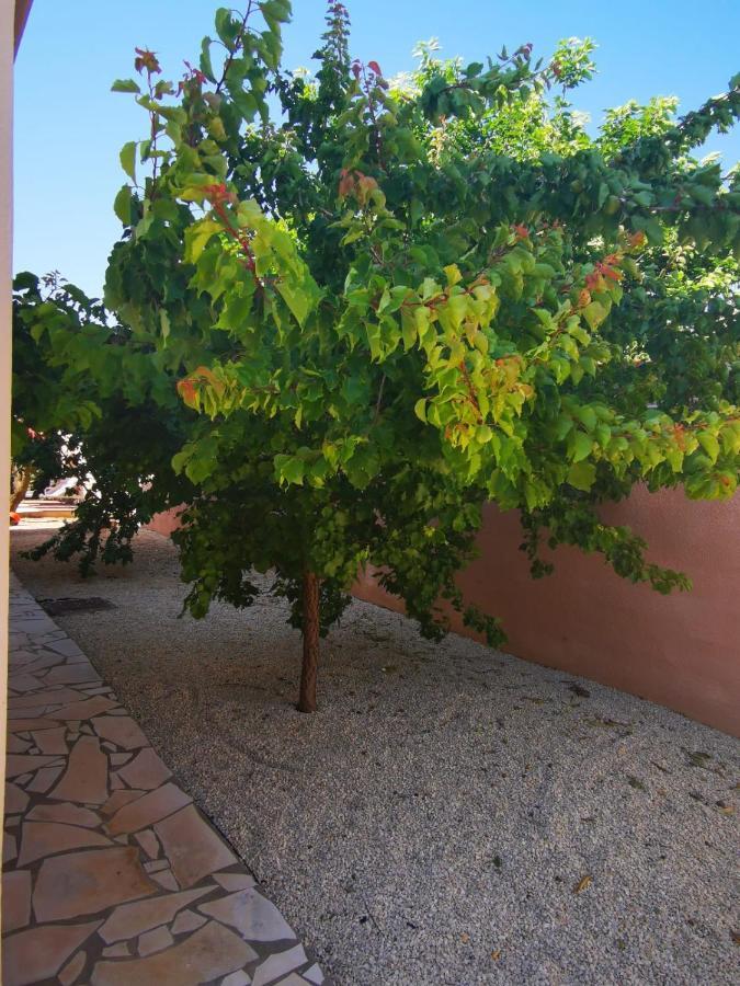 Gites Avec Grande Piscine Et Sa Terrasse Privative Bernis Exterior foto